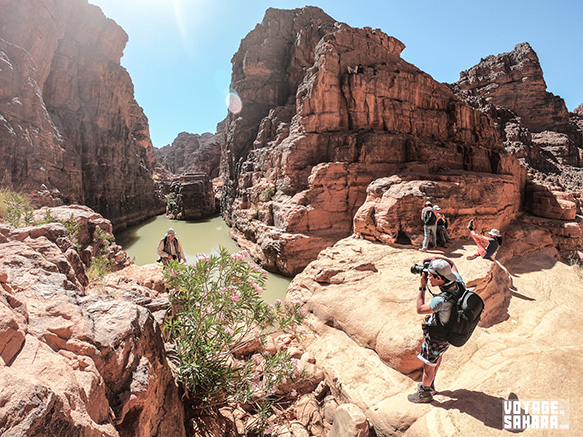 Discovery of the Sahara with a group of travelers.